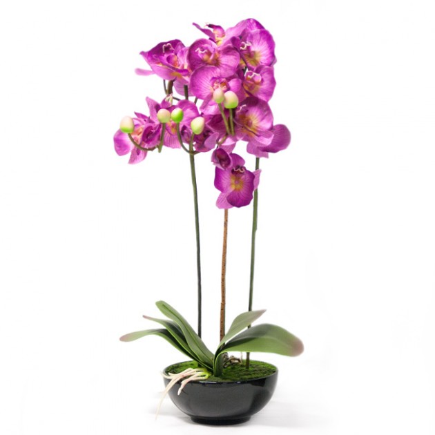 На фото: Орхідея In Garden (7269), Штучні квіти Home4You, каталог, ціна