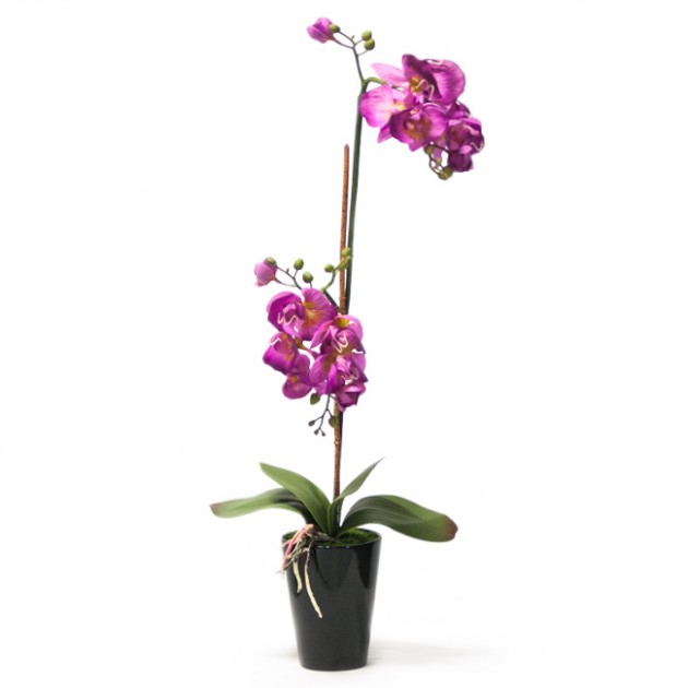 На фото: Орхідея In Garden (72691), Штучні квіти Home4You, каталог, ціна